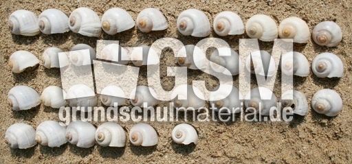 Schneckenhäuser-36.jpg